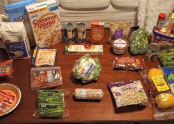 Brigette’s $92 Grocery Procuring Journey and Weekly Menu Plan for 4!