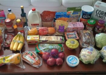Brigette’s $97.65 Grocery Buying Journey and Weekly Menu Plan for five!