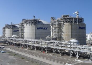 World Provide Shock Exposes the Delusion of Vitality Independence