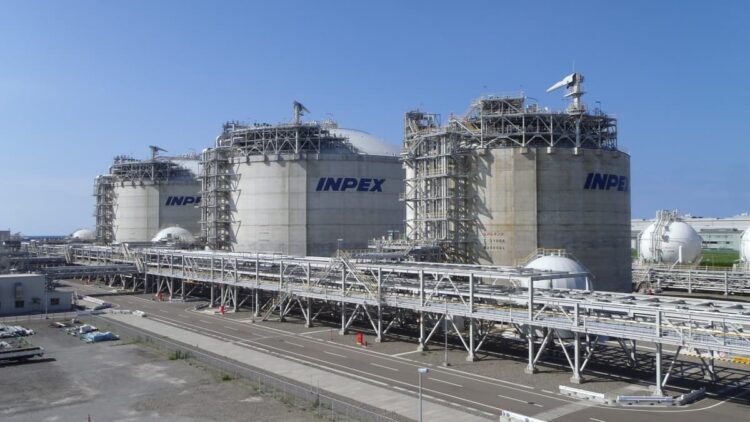 World Provide Shock Exposes the Delusion of Vitality Independence