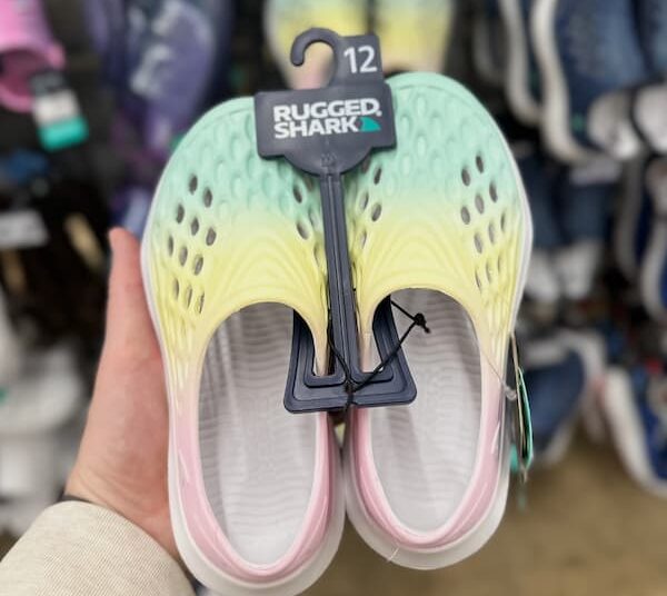 Rugged Shark Ladies’ Water Sneakers solely $5.99!