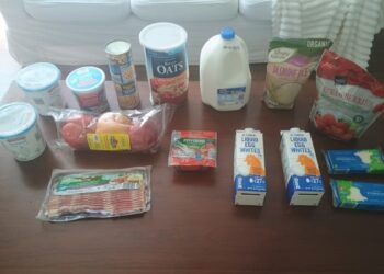 Brigette’s $46 Grocery Procuring Journey and Weekly Menu Plan for 4!