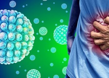 Norovirus outbreak: Is India protected? A have a look at signs, therapy & find out how to keep protected