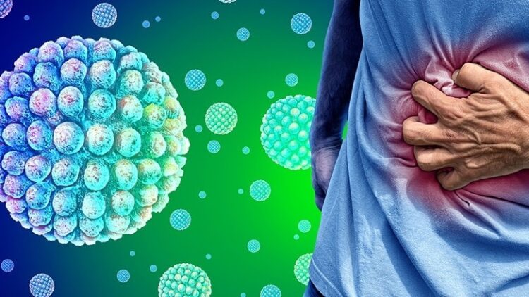 Norovirus outbreak: Is India protected? A have a look at signs, therapy & find out how to keep protected