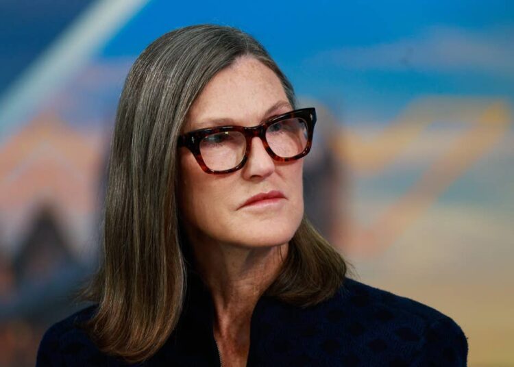 Cathie Wooden buys $18 million of beaten-down AI inventory
