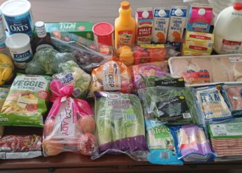 Brigette’s $137 Grocery Buying Journey and Weekly Menu Plan for six!