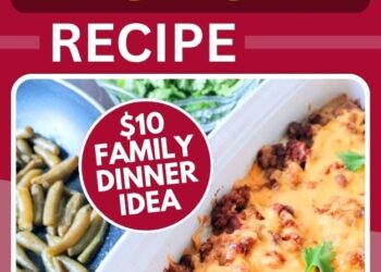 Mexican Lasagna ($10 Household Dinner Thought)