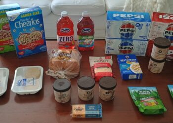 Brigette’s $102 Grocery Buying Journey and Weekly Menu Plan for six!
