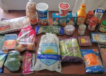 Brigette’s $120 Grocery Purchasing Journey and Weekly Menu Plan for 4!