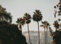 What It Prices to Stay in Jacob Elordi’s Neighborhood