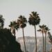 What It Prices to Stay in Jacob Elordi’s Neighborhood