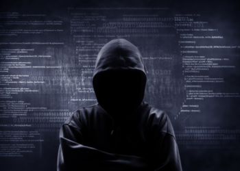 3.1TB of NAIC knowledge dumped on to the darkish internet