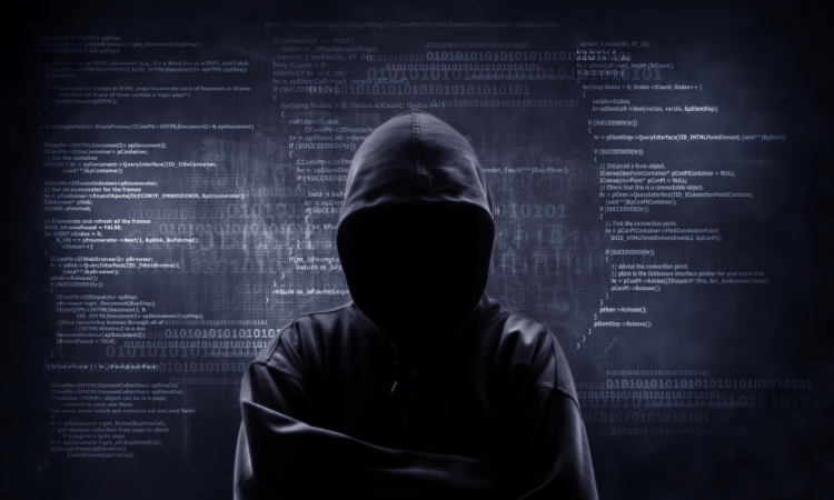 3.1TB of NAIC knowledge dumped on to the darkish internet