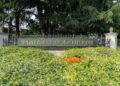 UC Humanities And Social Science College Be part of STEM Push To Restore The SAT