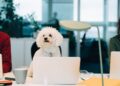 The working-from-home debate: Measures corporations are taking to entice workers again to the workplace