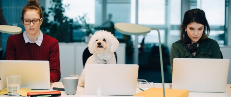 The working-from-home debate: Measures corporations are taking to entice workers again to the workplace