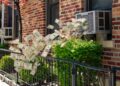Renters Flip to One Cooling Hack to Save on Electrical energy Payments
