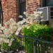 Renters Flip to One Cooling Hack to Save on Electrical energy Payments