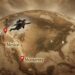 Entrepreneur’s Journey: From Founder To Exit To AI Safety VC
