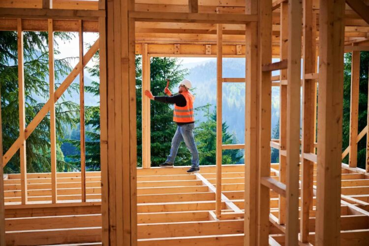 Execs and Cons of New Building Properties