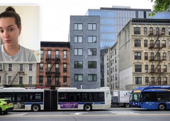 Manhattan Penthouse Turns into Nightmare of Mildew for Juilliard Grad