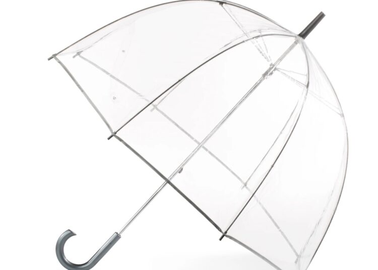 Totes Bubble Rain Umbrella solely $11.50, plus extra!