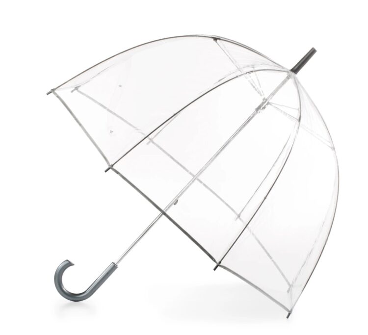 Totes Bubble Rain Umbrella solely $11.50, plus extra!