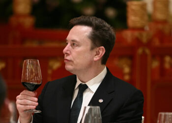 Elon Musk SEC settlement raises ‘pink flags,’ choose says