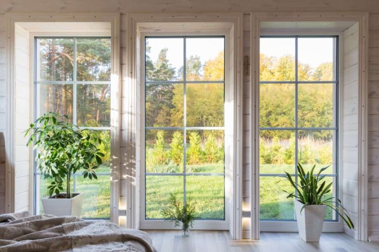 Substitute or New Building Home windows?