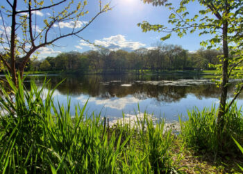 Lake County, IL Housing Market Replace: June 2026