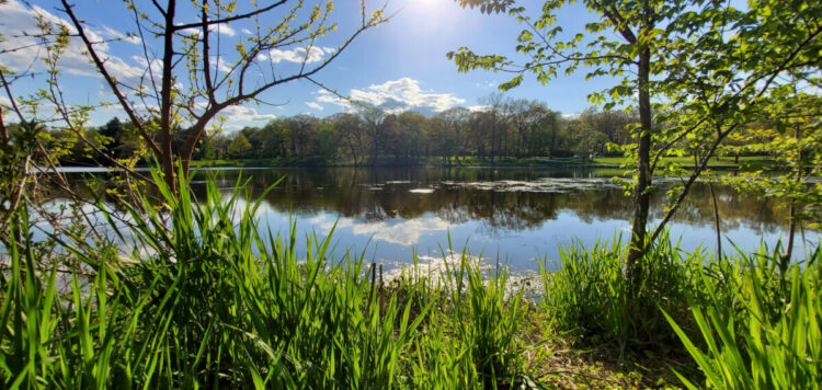 Lake County, IL Housing Market Replace: June 2026