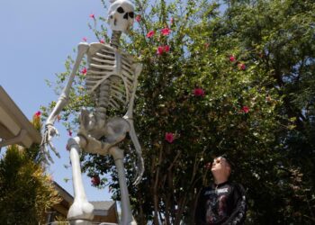 Large skeletons are staying up gone Halloween in Los Angeles