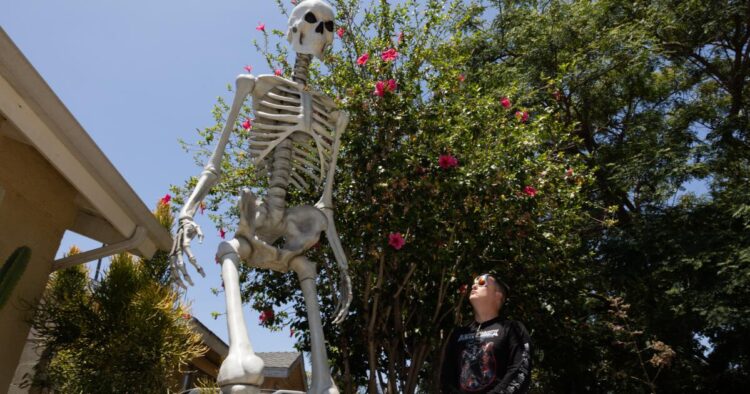 Large skeletons are staying up gone Halloween in Los Angeles