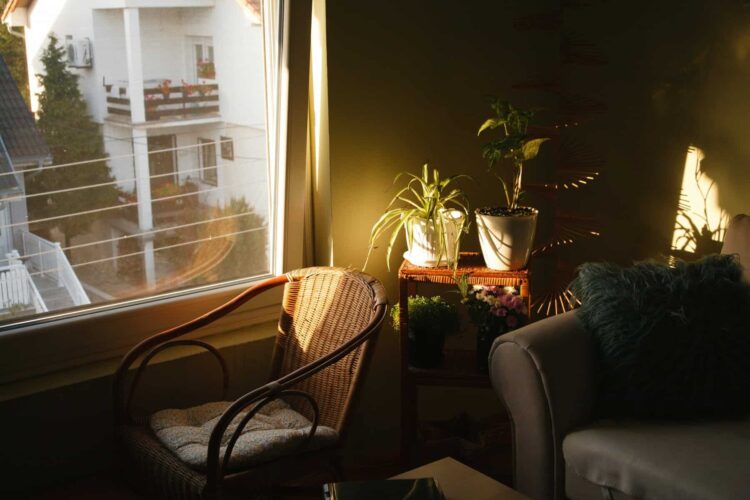 How A lot Does Pure Mild Matter When Shopping for a Residence?