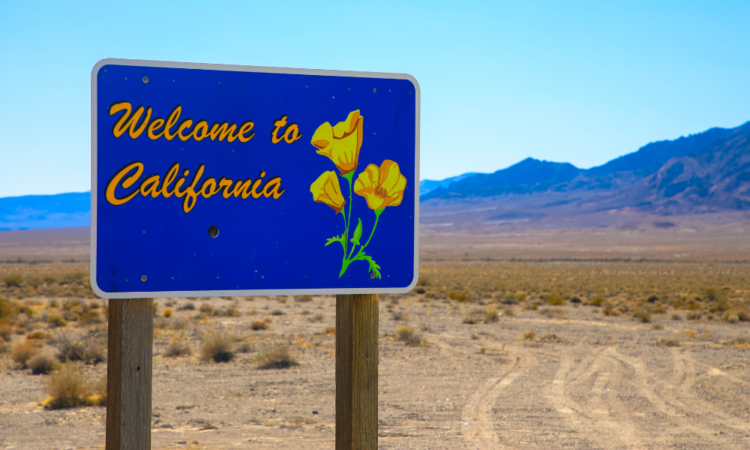 What California’s insurance coverage commissioner race means for brokers within the nation’s hardest market