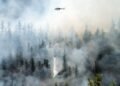 Wildfire brokerage RockRose Threat raises $12.5 million to develop into the underwriter, roofer and extra