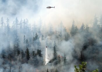 Wildfire brokerage RockRose Threat raises $12.5 million to develop into the underwriter, roofer and extra