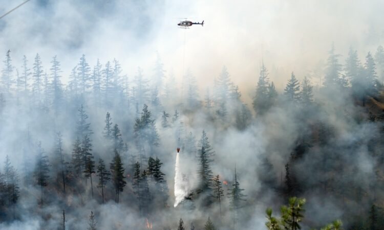 Wildfire brokerage RockRose Threat raises $12.5 million to develop into the underwriter, roofer and extra