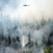 Wildfire brokerage RockRose Threat raises $12.5 million to develop into the underwriter, roofer and extra