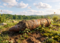 As if wildfires weren’t sufficient: what Europe’s hearth crews are additionally digging up