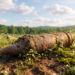 As if wildfires weren’t sufficient: what Europe’s hearth crews are additionally digging up