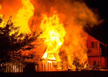 Some insurers are thriving within the fireplace insurance coverage market. Others are pulling again
