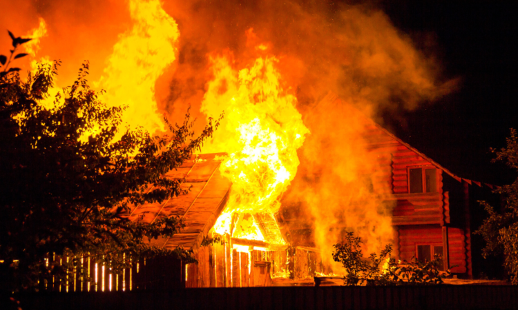Some insurers are thriving within the fireplace insurance coverage market. Others are pulling again