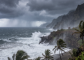 Parametric insurance coverage simply paid out for a coral reef for the primary time within the US