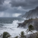 Parametric insurance coverage simply paid out for a coral reef for the primary time within the US