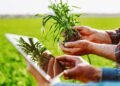 Inszone buys 60-year Michigan farm insurance coverage store