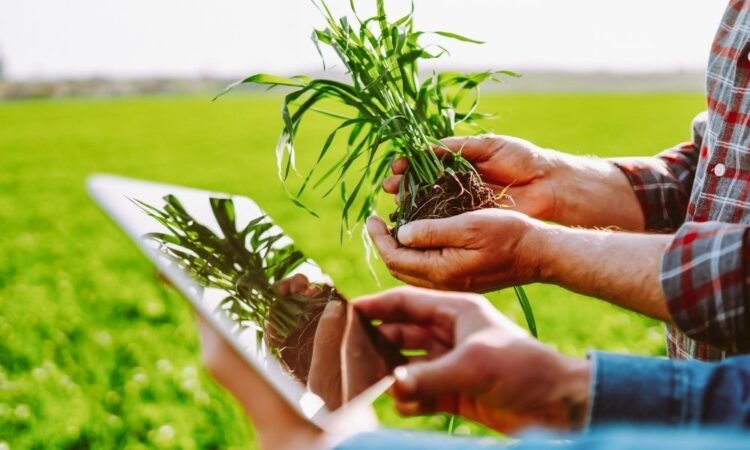 Inszone buys 60-year Michigan farm insurance coverage store