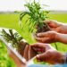 Inszone buys 60-year Michigan farm insurance coverage store