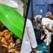 Rotten meat, unhygienic kitchen: 132 kg meals gadgets seized in meals security raids; in style Bengaluru pub shut down