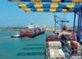 India’s US exports keep resilient regardless of Trump tariffs, however commerce surplus shrinks: Report